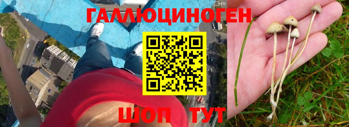 Галлюциногенные грибы прущие грибы  Вход с VPN  Аргун  Галлюциногенные грибы Magic Shrooms 
